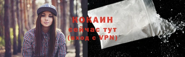 спиды Арсеньев