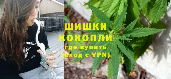 спиды Арсеньев