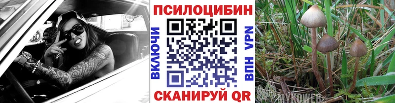 Псилоцибиновые грибы GOLDEN TEACHER  купить наркотик  Сортавала 